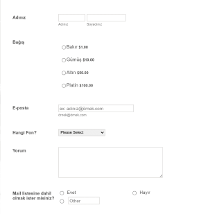 Payu Turkiye Bagis Form Template
