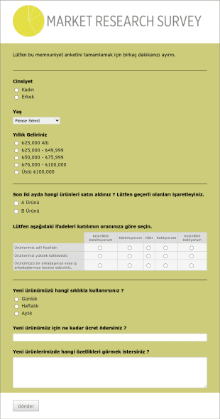 Pazar Araştırması Anketi Form Template