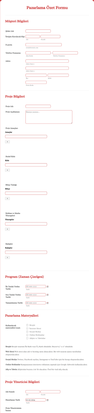 Pazarlama Özet Form Template