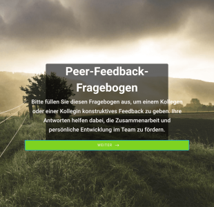 Peer Feedback Fragebogen