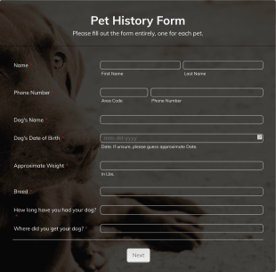 Pet History Form Dog Form Template