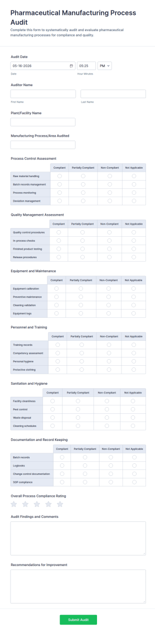 Pharmaceutical Manufacturing Process Audit Form Template