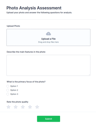 Photo Analysis Assessment Form Template