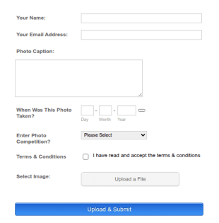 Photo Competition Form Template