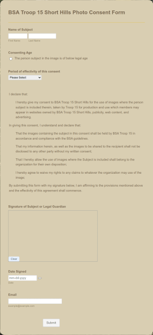 Photo Consent Form Template