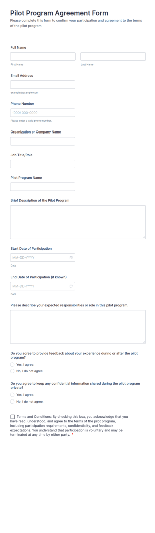 Pilot Program Agreement Form Template