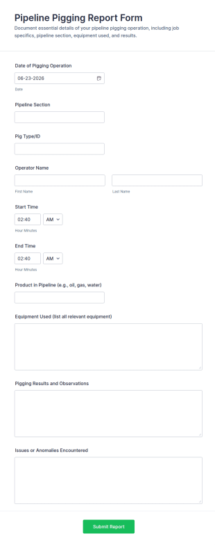 Pipeline Pigging Report Form Template