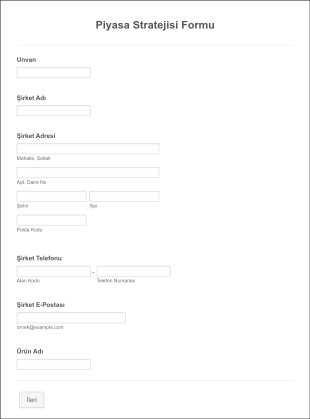 Piyasa Stratejisi Form Template