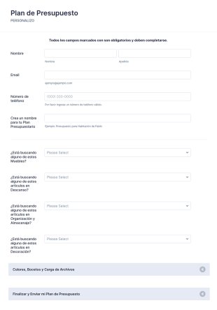 Plan De Presupuesto Form