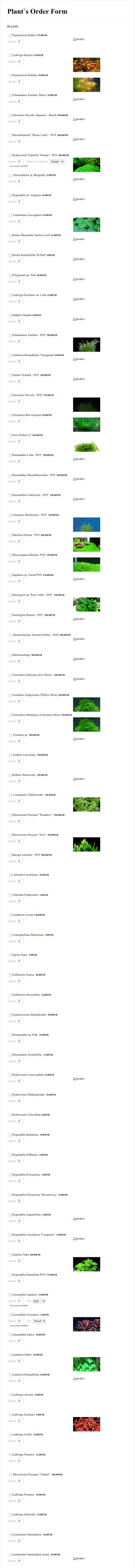 PLANT`s Order Form Template