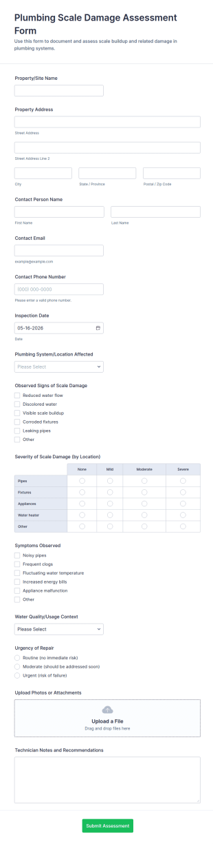 Plumbing Scale Damage Assessment Form Template