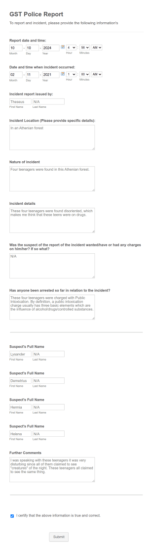 Police Report Form Template