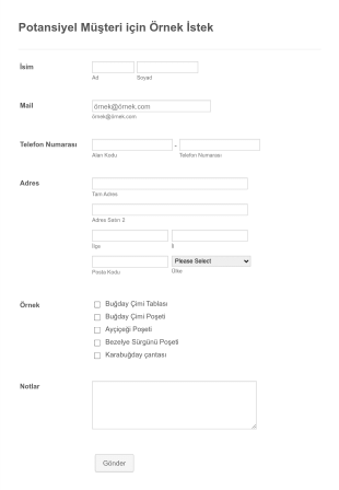 Potansiyel Müşteri Için Örnek İstek Form Template