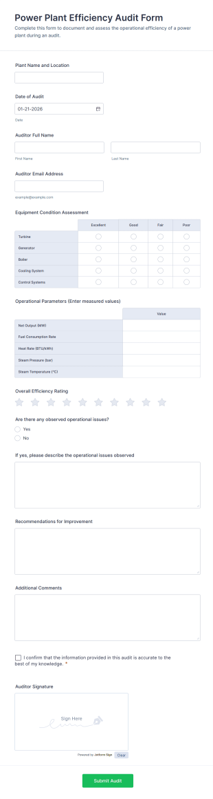 Power Plant Efficiency Audit Form Form Template