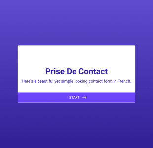 Prise De Contact 2 Form Template