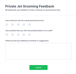 Private Jet Grooming Feedback Form Template