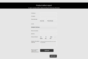 Product Defect Report Form 2