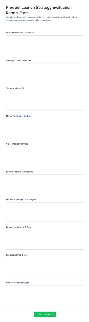 Product Launch Strategy Evaluation Report Form Template