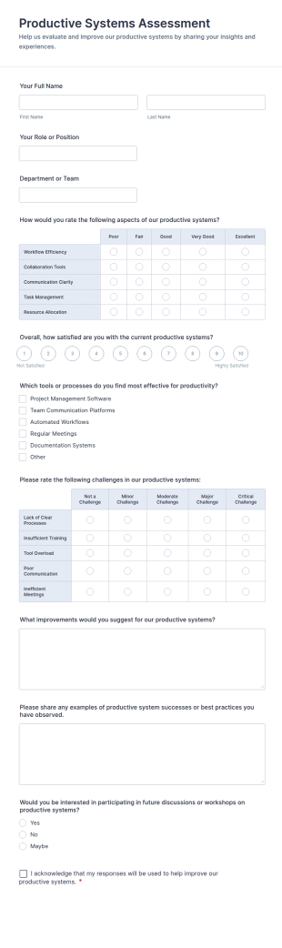 Productive Systems Assessment Form Template