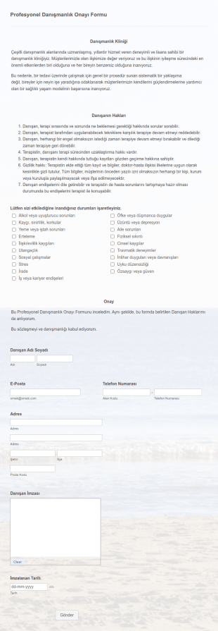 Profesyonel Danışmanlık Onayı Form Şablonu