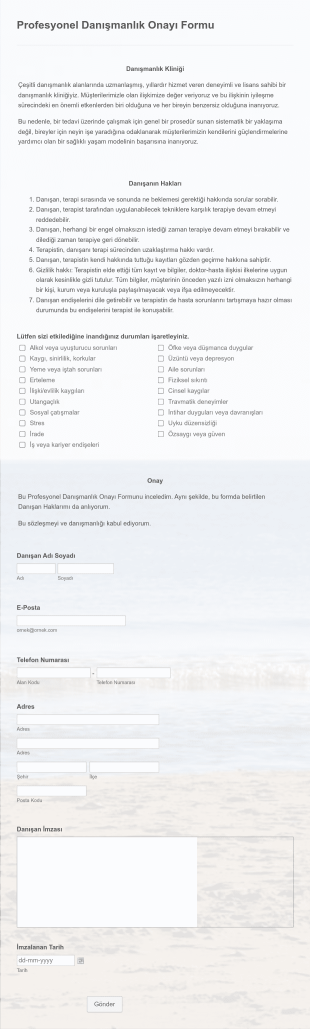 Profesyonel Danışmanlık Onayı Form Template