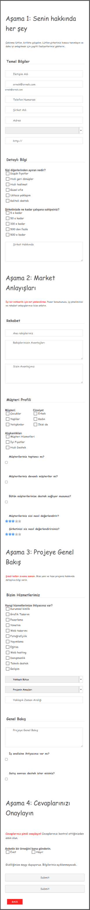 Profil Anketi Form Şablonu