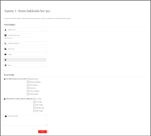 Profil Anketi Form Şablonu