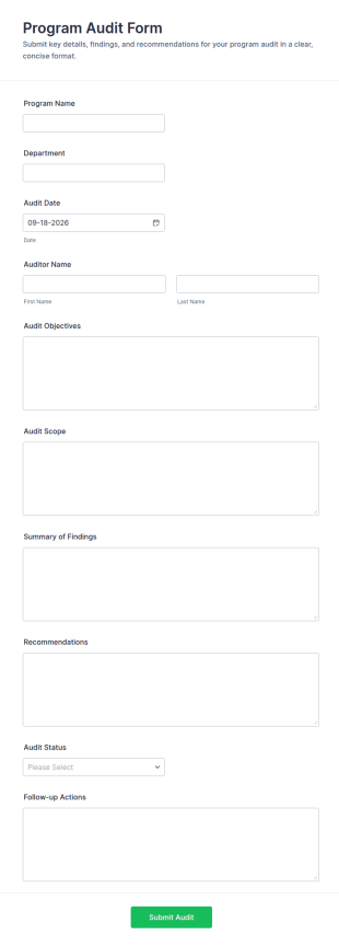 Program Audit Form Template