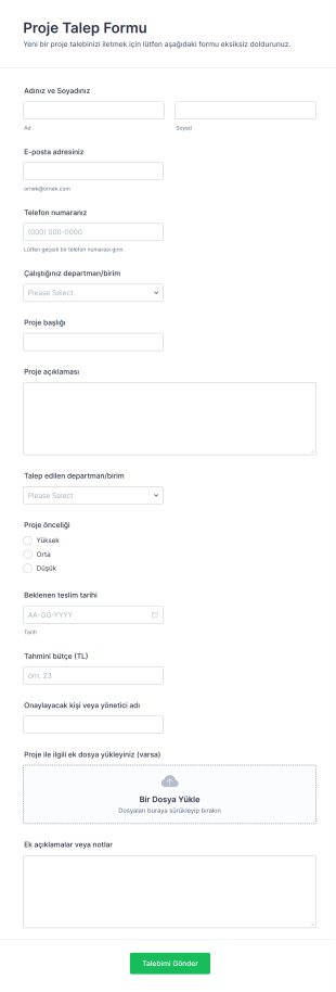 Proje Talep Form Şablonu