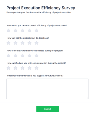 Project Execution Efficiency Survey Form Template