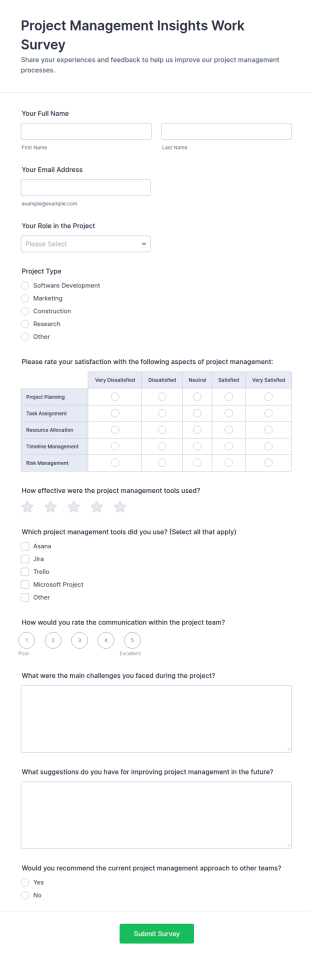 Project Management Insights Work Survey Form Template