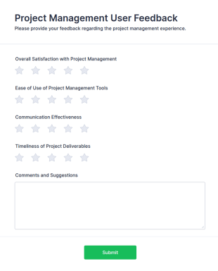 Project Management User Feedback Form Template