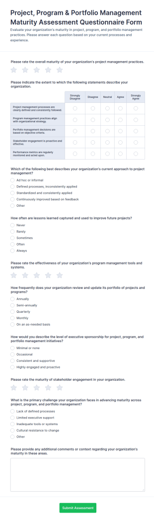 Project, Program & Portfolio Management Maturity Assessment Form Template