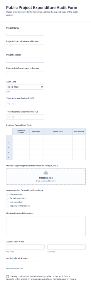Public Project Expenditure Audit Form Template