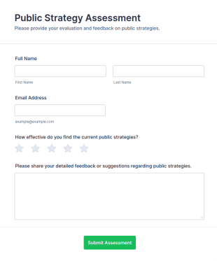 Public Strategy Assessment Form Template