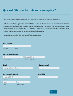 Questionnaire D'état D'une Entreprise Form Template