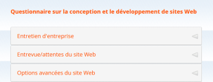 Questionnaire Sur La Conception Et Le Développement De Sites Web