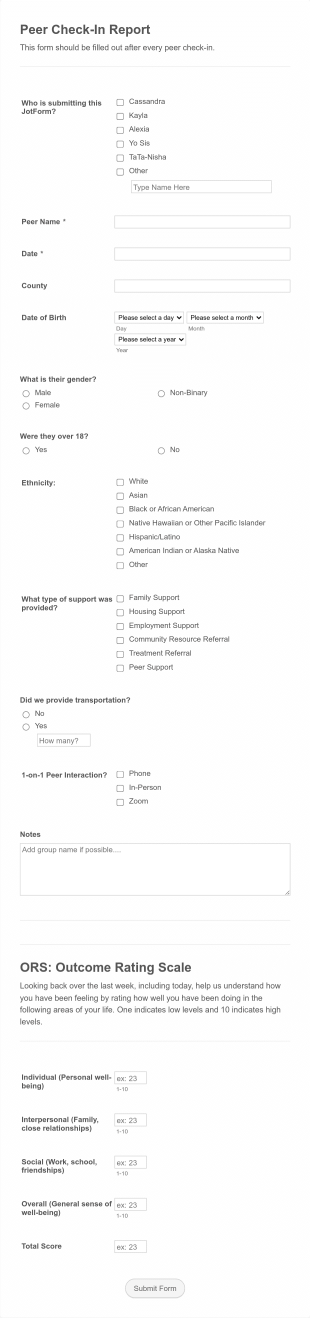 R2ise Peer Check In Report Form Template