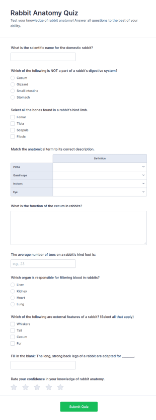 Rabbit Anatomy Quiz Form Template