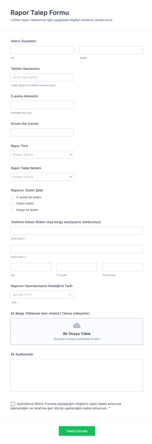 Rapor Talep Form Template
