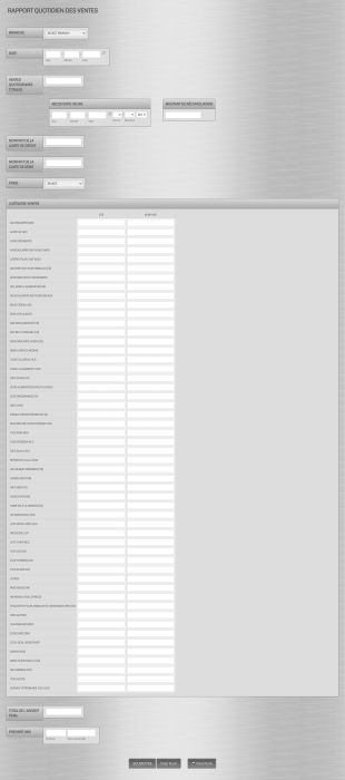 Modèle Formulaire Rapport Quotidien Des Ventes Form Template