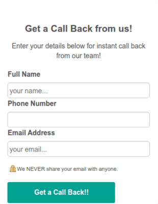 Real Estate Leads Form Template