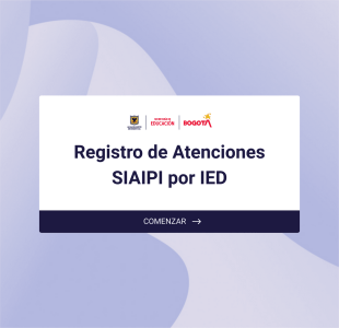 Registro De Atenciones SIAIPI Por IED Form Template
