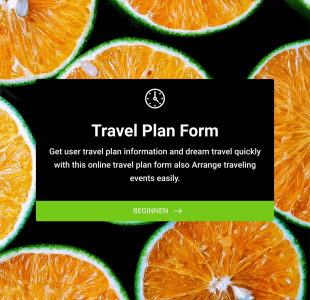 Reiseplan Formular Form Template