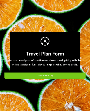 Reiseplan Formular