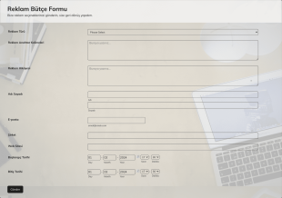 Reklam Bütçe Form Template