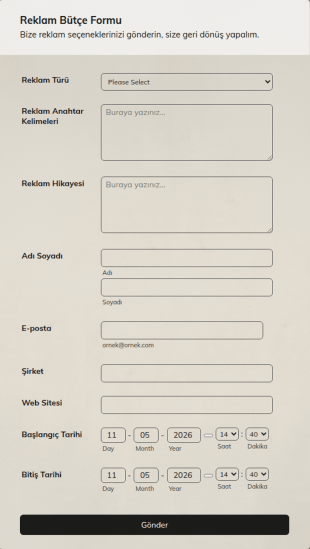 Reklam Bütçe Form Şablonu