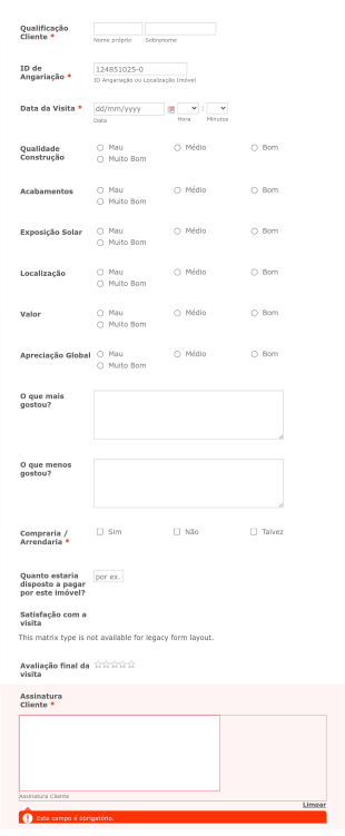 Relatório De Visita Form Template
