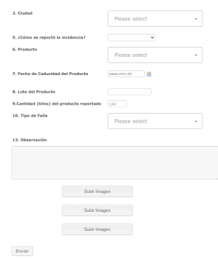 Reporte De Fallas De Productos Form Template
