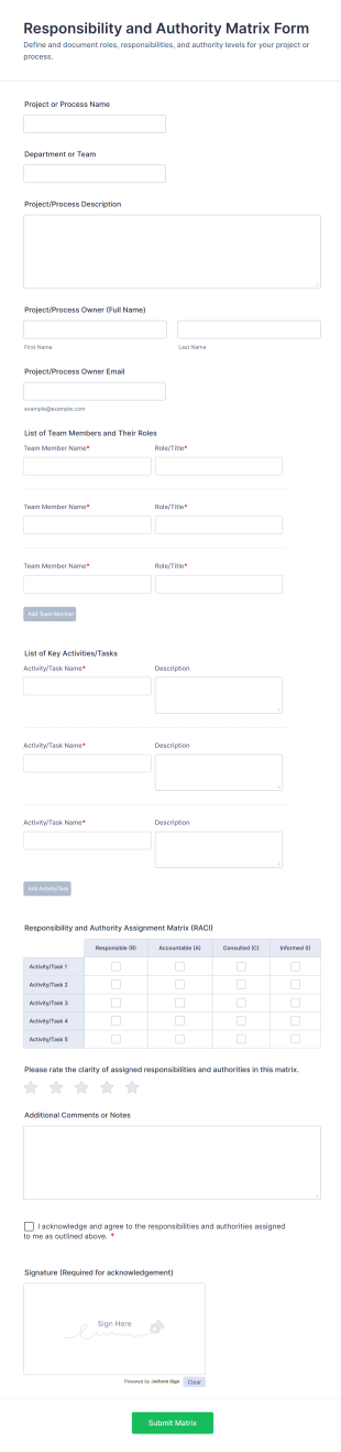 Responsibility And Authority Matrix Form Form Template